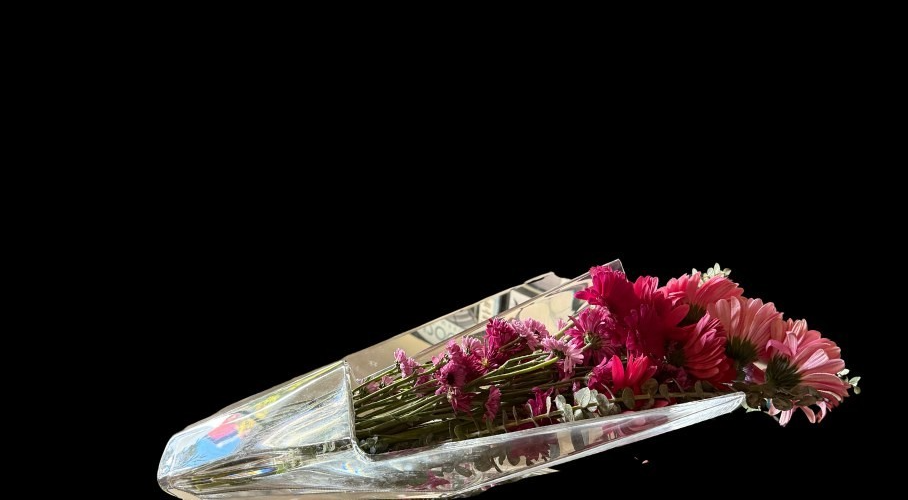 Baccarat Diva Horizontal Crystal Vase – Large 20" (50 cm), Signed 