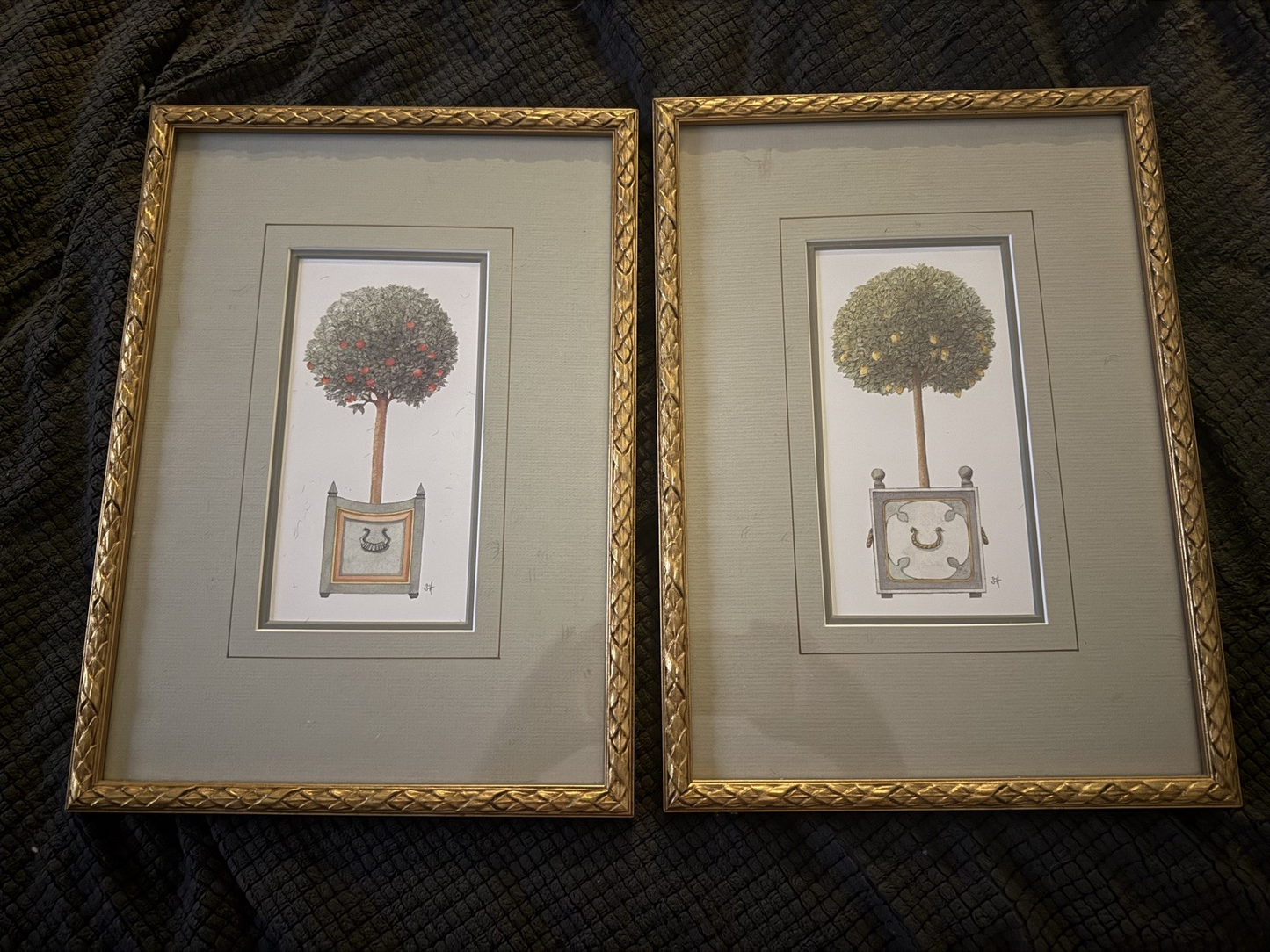 Vintage French Botanical Wall Art Set of 2: Orange & Apple Tree in Gold Frames