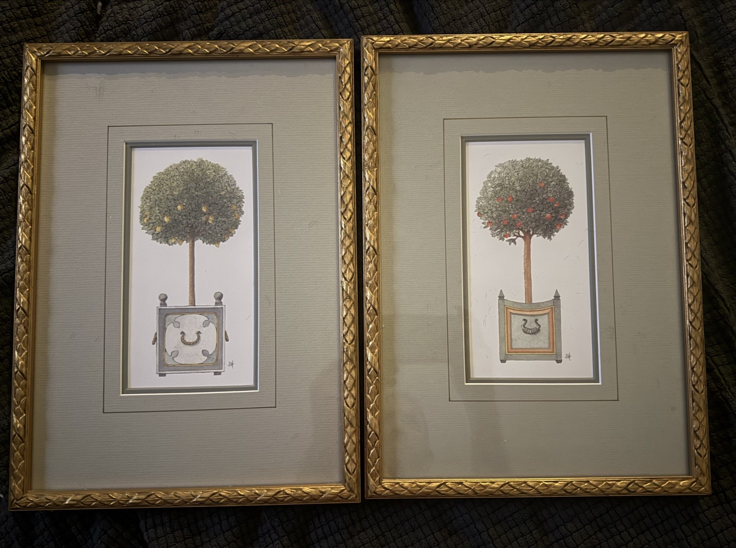 Vintage French Botanical Wall Art Set of 2: Orange & Apple Tree in Gold Frames