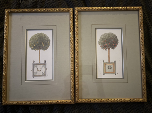 Vintage French Botanical Wall Art Set of 2: Orange & Apple Tree in Gold Frames