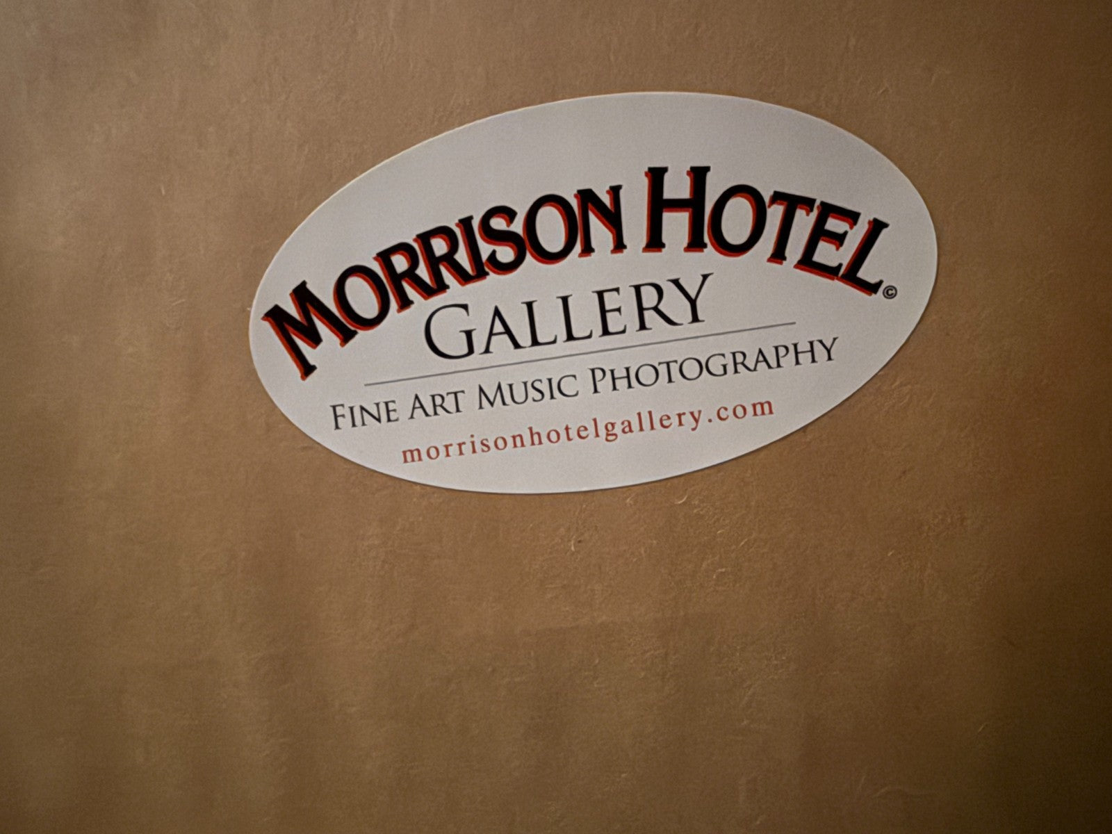 Joni Mitchell "Looking Up" 1968 Jack Robinson VOGUE Photo Print Lg Framed 44.5"